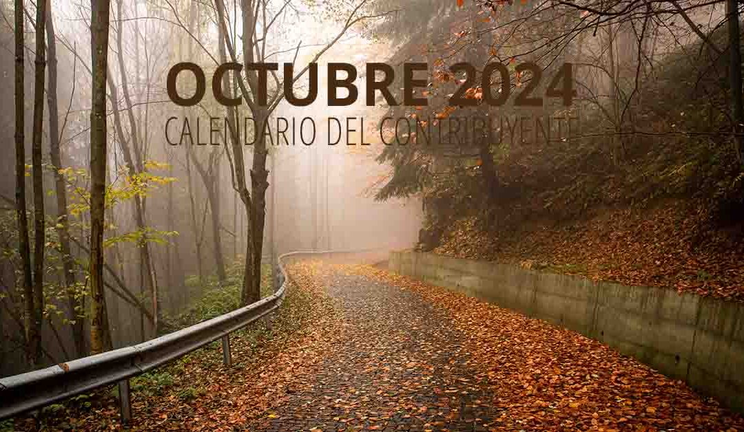 Calendario del contribuyente – octubre 2024