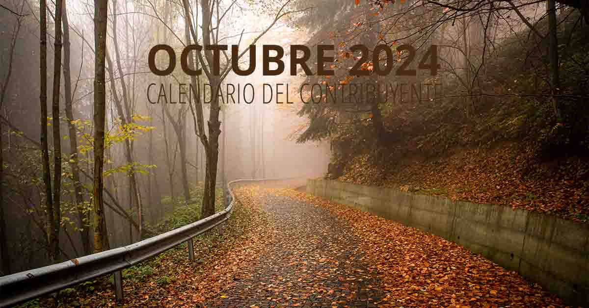 Calendario del contribuyente octubre 2024