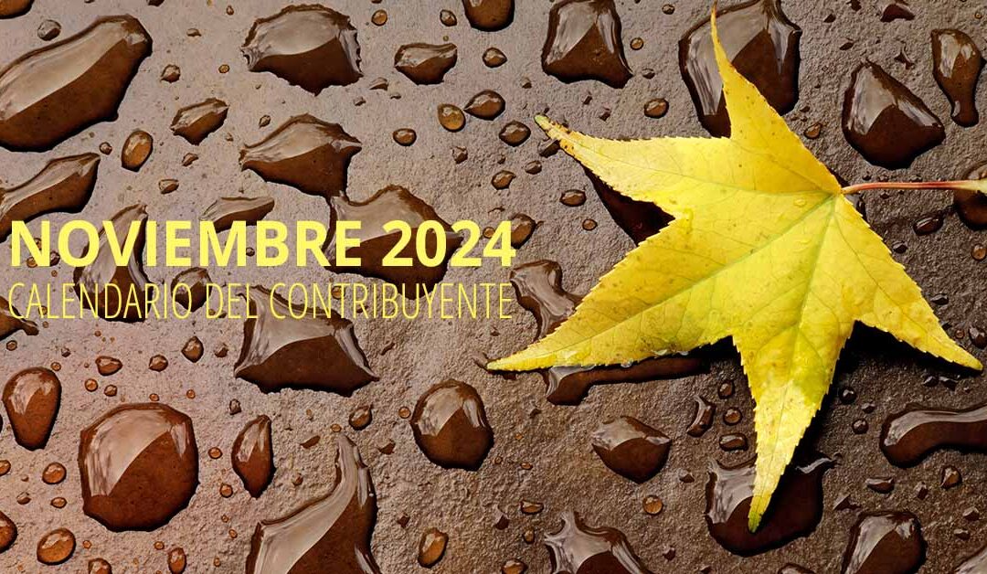 Calendario del contribuyente – noviembre 2024