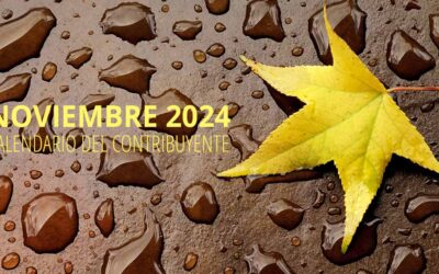 Calendario del contribuyente – noviembre 2024