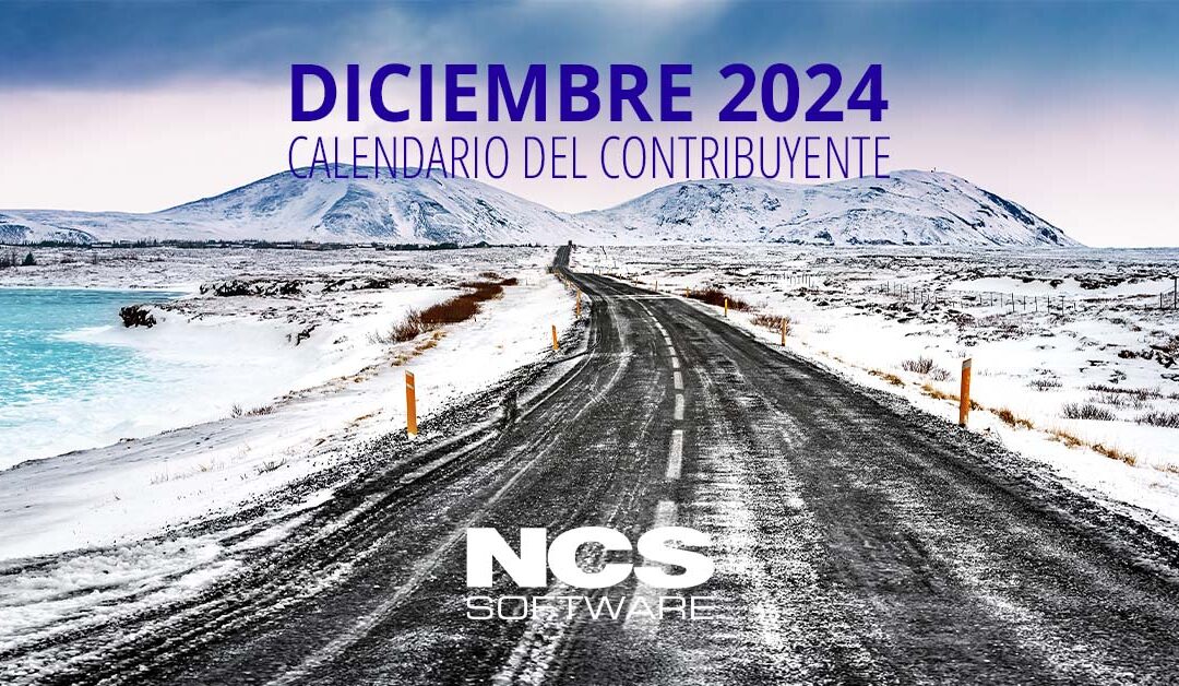 Calendario del contribuyente – diciembre 2024