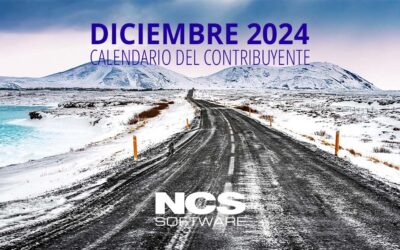 Calendario del contribuyente – diciembre 2024