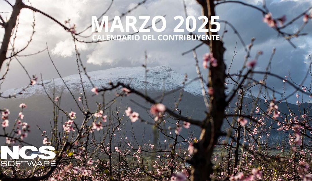 Calendario del contribuyente – marzo 2025