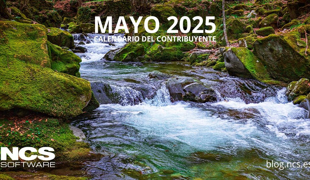 Calendario del contribuyente – mayo 2025