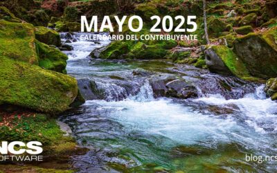 Calendario del contribuyente – mayo 2025